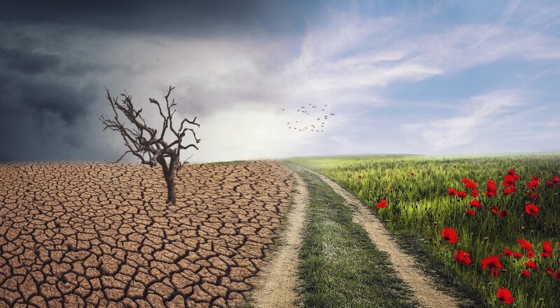 IA et climat