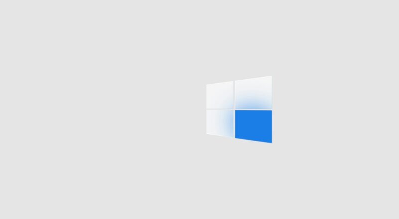 bug Windows